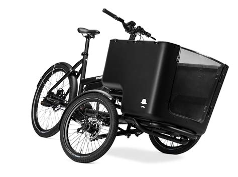 electric bike with box|electric bikes with cargo rack.